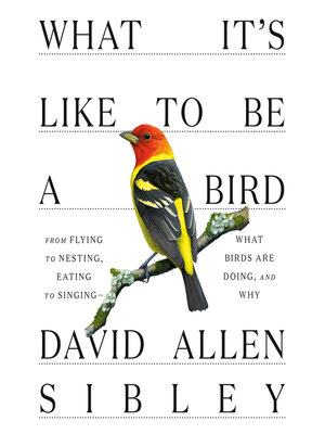 cover image of What It's Like to Be a Bird